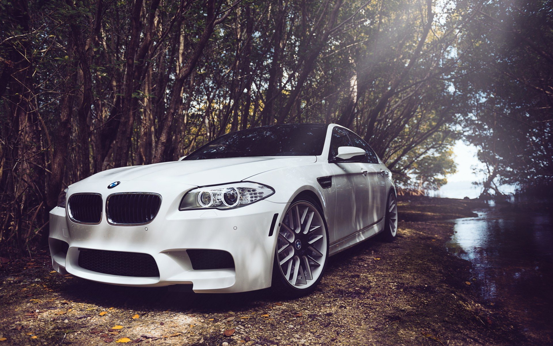 Awesome BMW M5 free wallpaper ID:344852 for hd 1920x1200 PC
