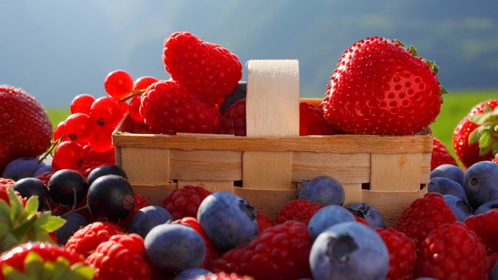 Free Berry high quality background ID:178321 for full hd 1920x1080 computer
