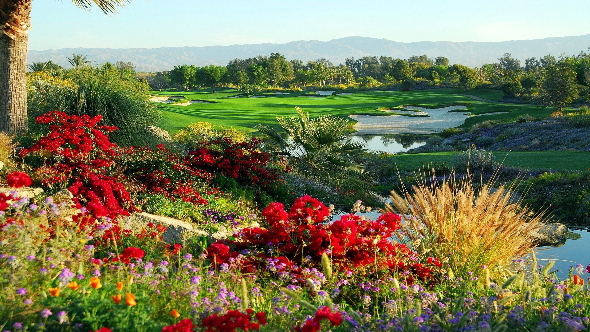 Best Golf Course wallpaper ID:451026 for High Resolution full hd computer
