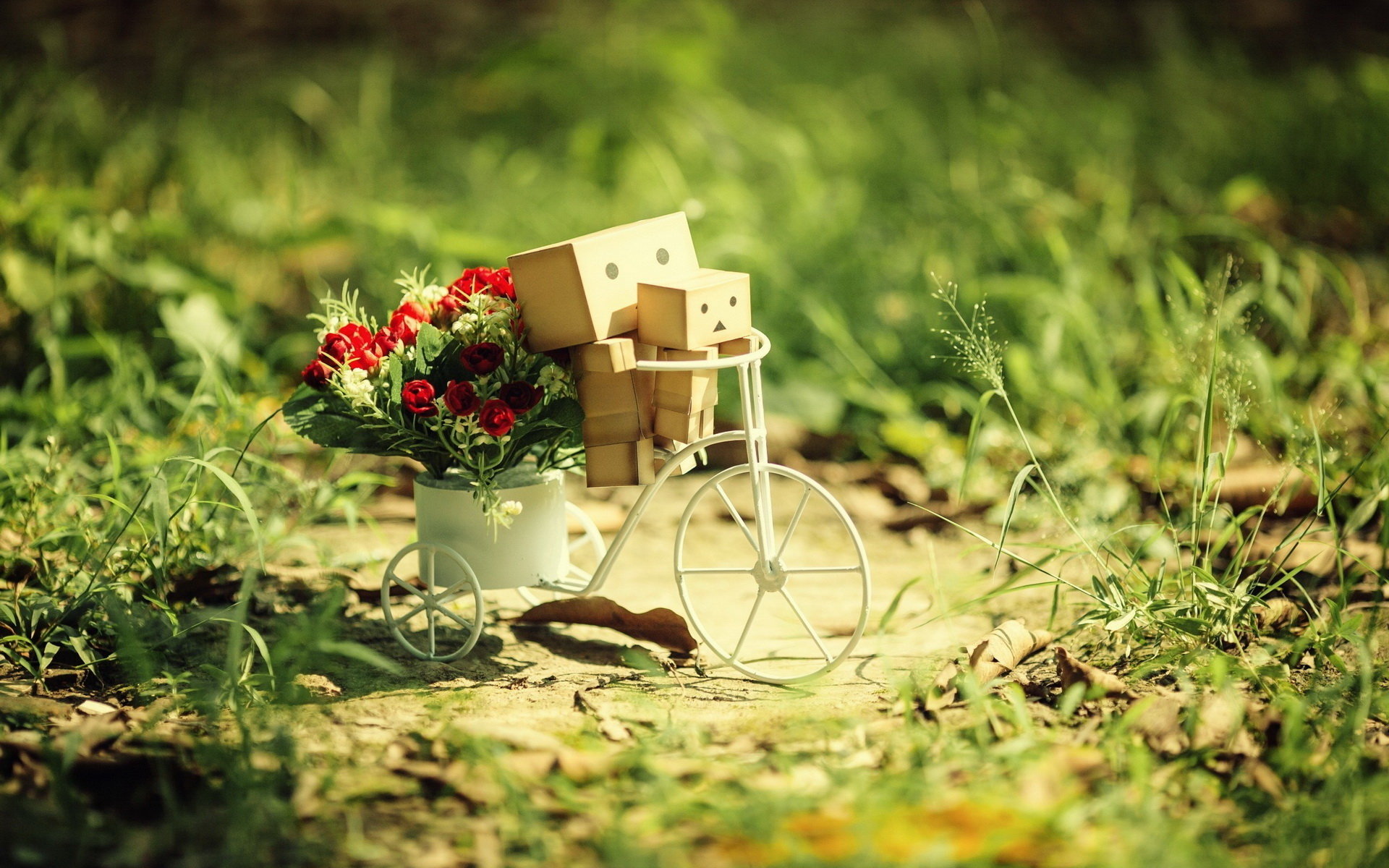Awesome Danbo free wallpaper ID:30398 for hd 1920x1200 PC