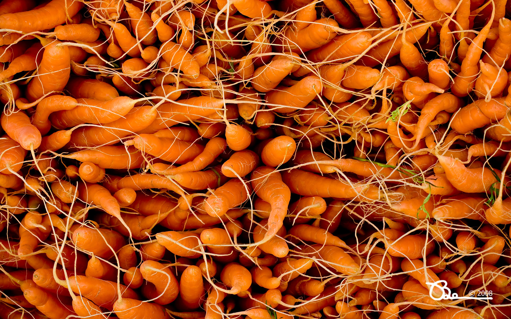 Awesome Carrot free wallpaper ID:89970 for hd 1680x1050 PC