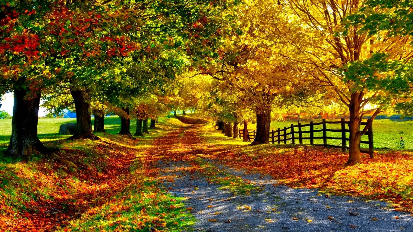 Download 1366x768 laptop Path desktop background ID:465655 for free