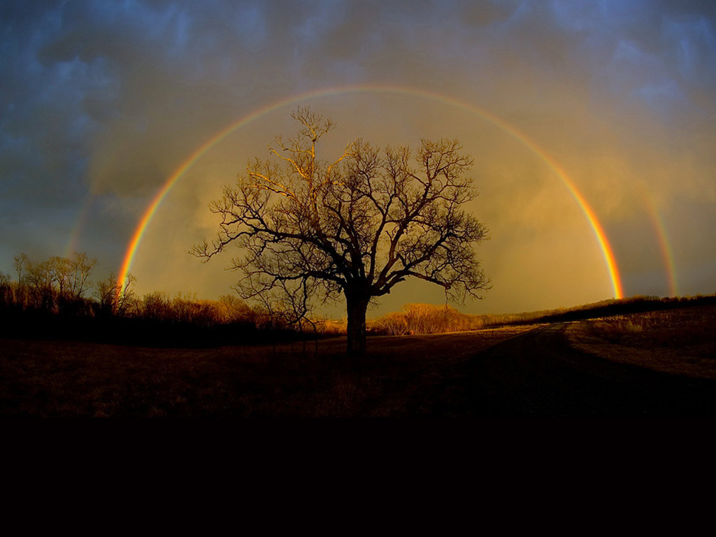 Free Rainbow high quality background ID:402963 for hd 1024x768 PC