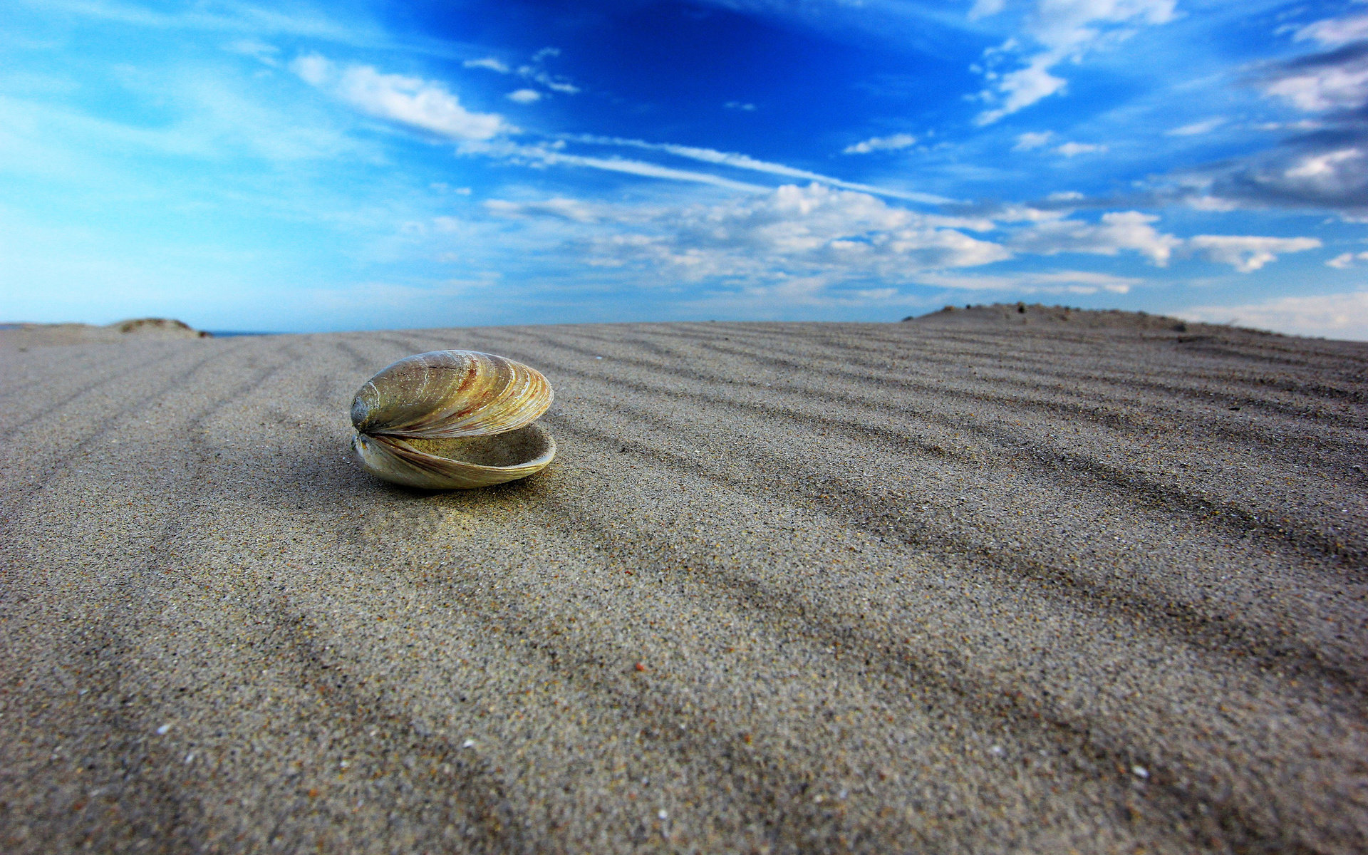 Awesome Shell free background ID:449992 for hd 1920x1200 computer