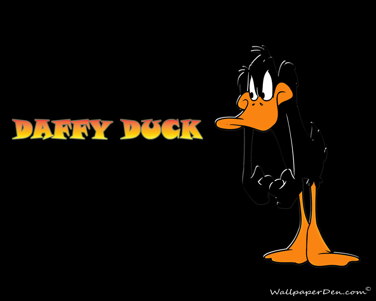 Free download Daffy Duck background ID:390888 hd 1280x1024 for desktop