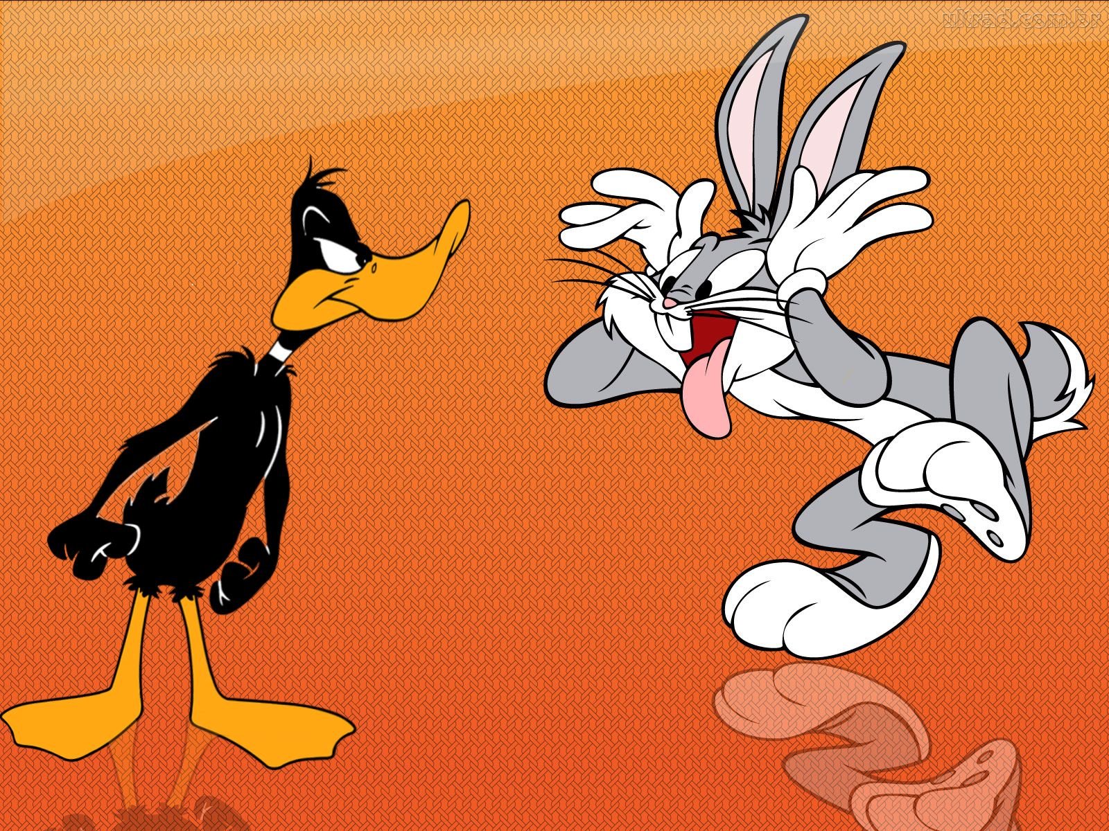 Free download Daffy Duck wallpaper ID:390890 hd 1600x1200 for computer