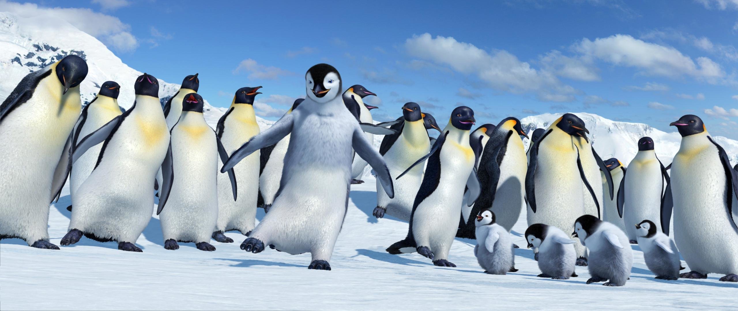 High resolution Happy Feet hd 2560x1080 background ID:146159 for PC