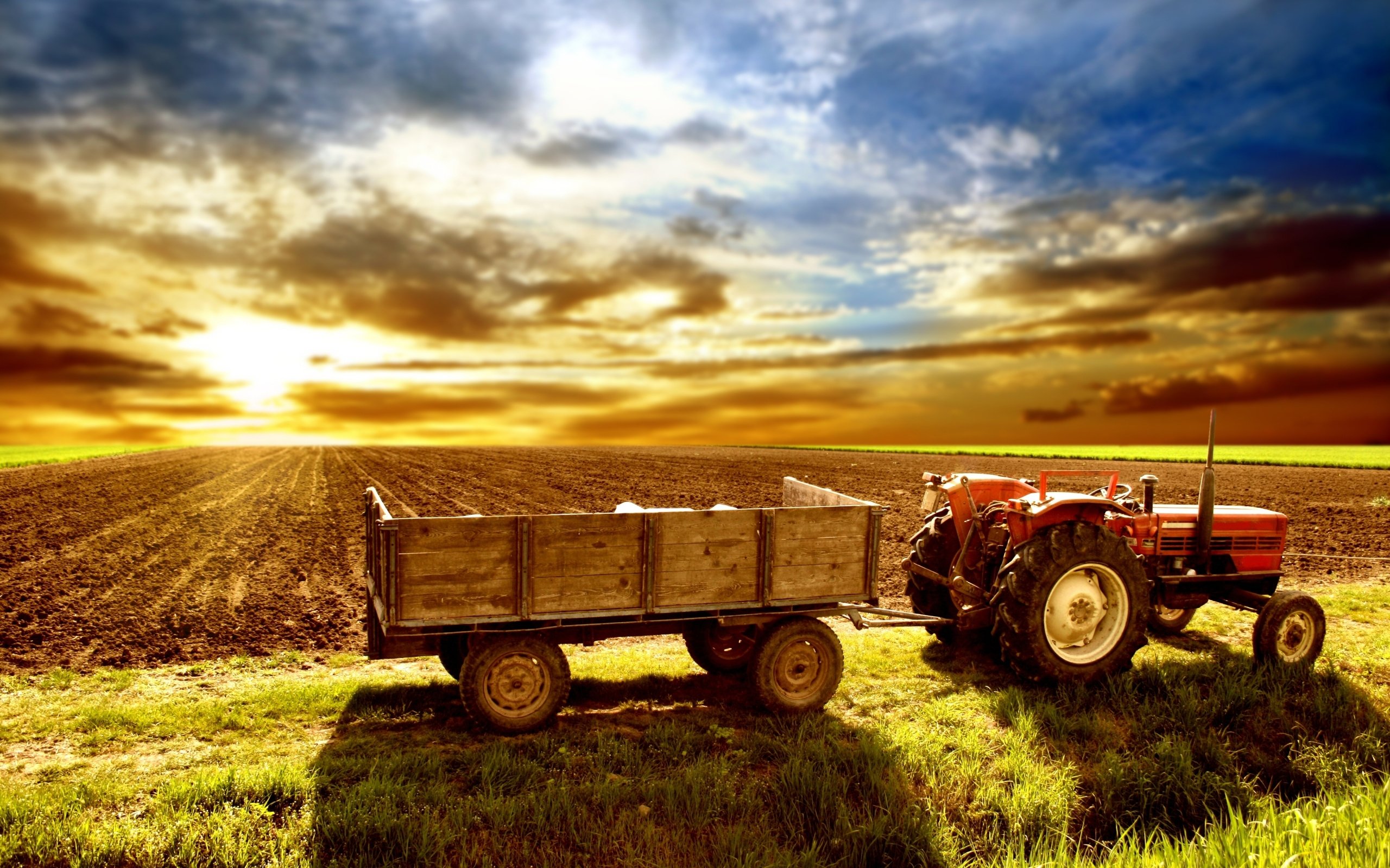 Free download Tractor wallpaper ID:475923 hd 2560x1600 for PC