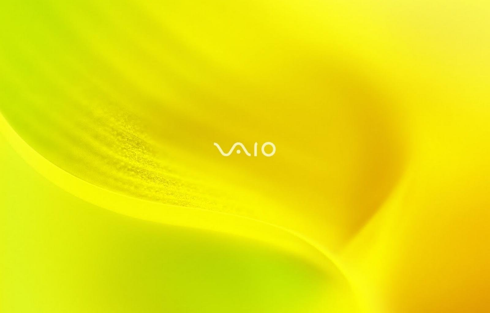Free Vaio high quality wallpaper ID:470782 for hd 1600x1024 computer