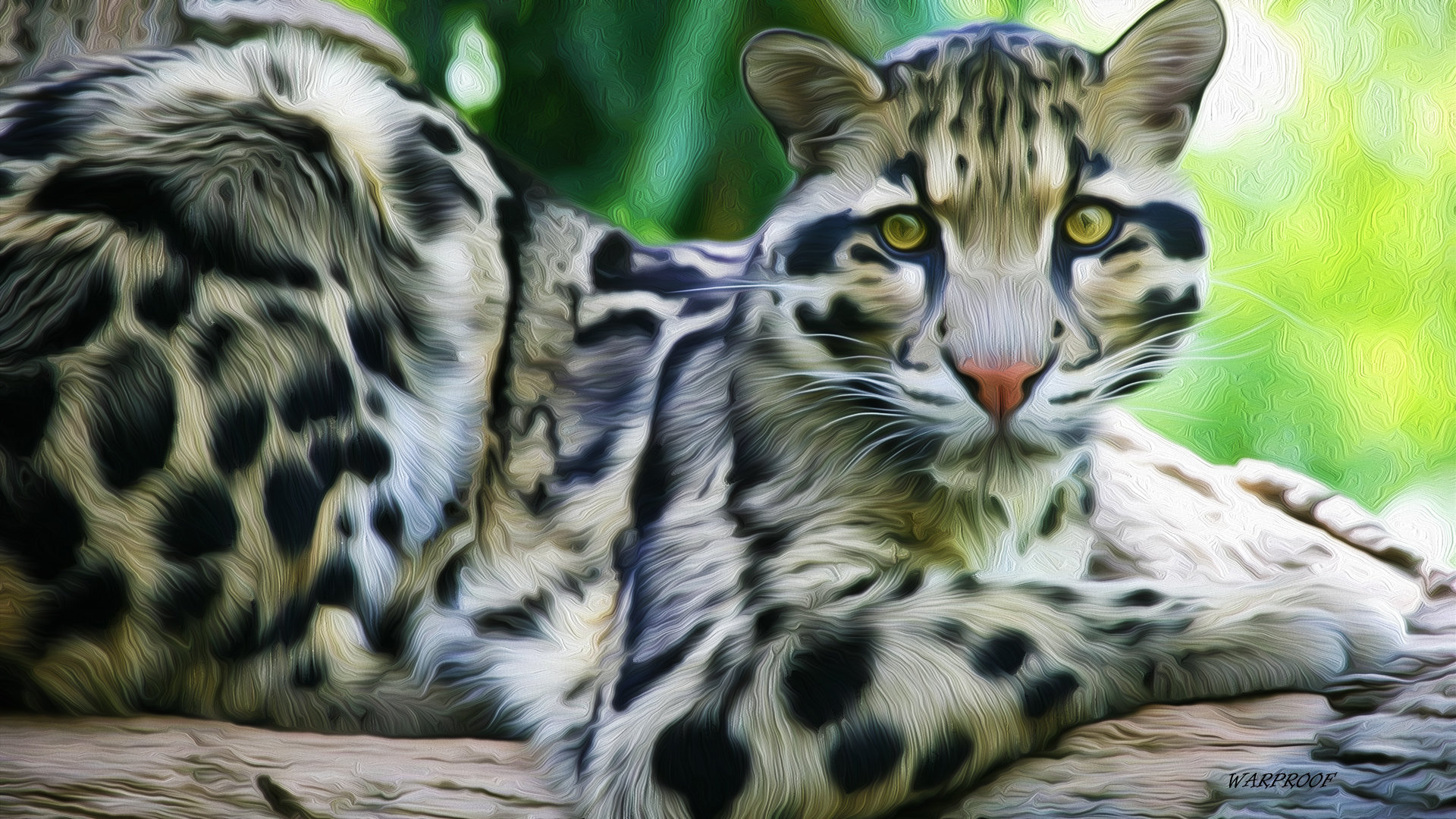 Free Clouded Leopard high quality wallpaper ID:260345 for full hd 1920x1080 desktop