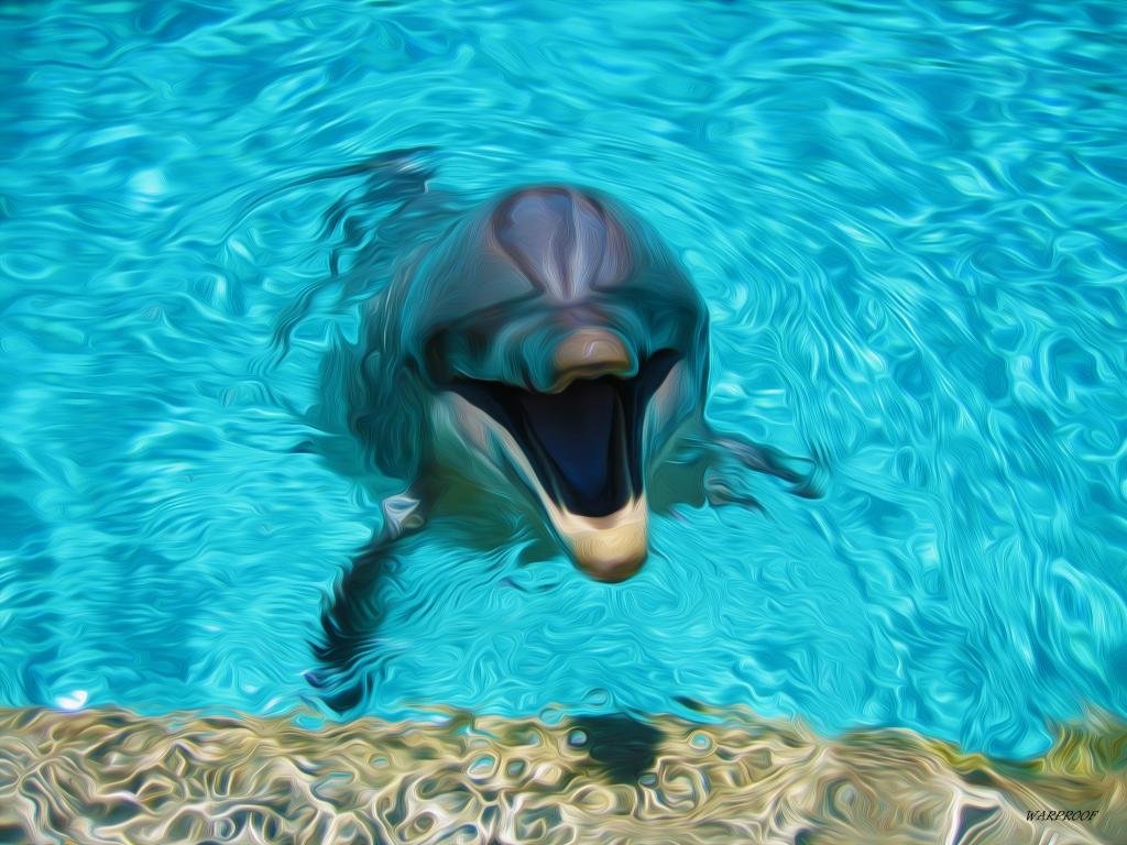 Free Dolphin high quality wallpaper ID:248394 for hd 1024x768 computer