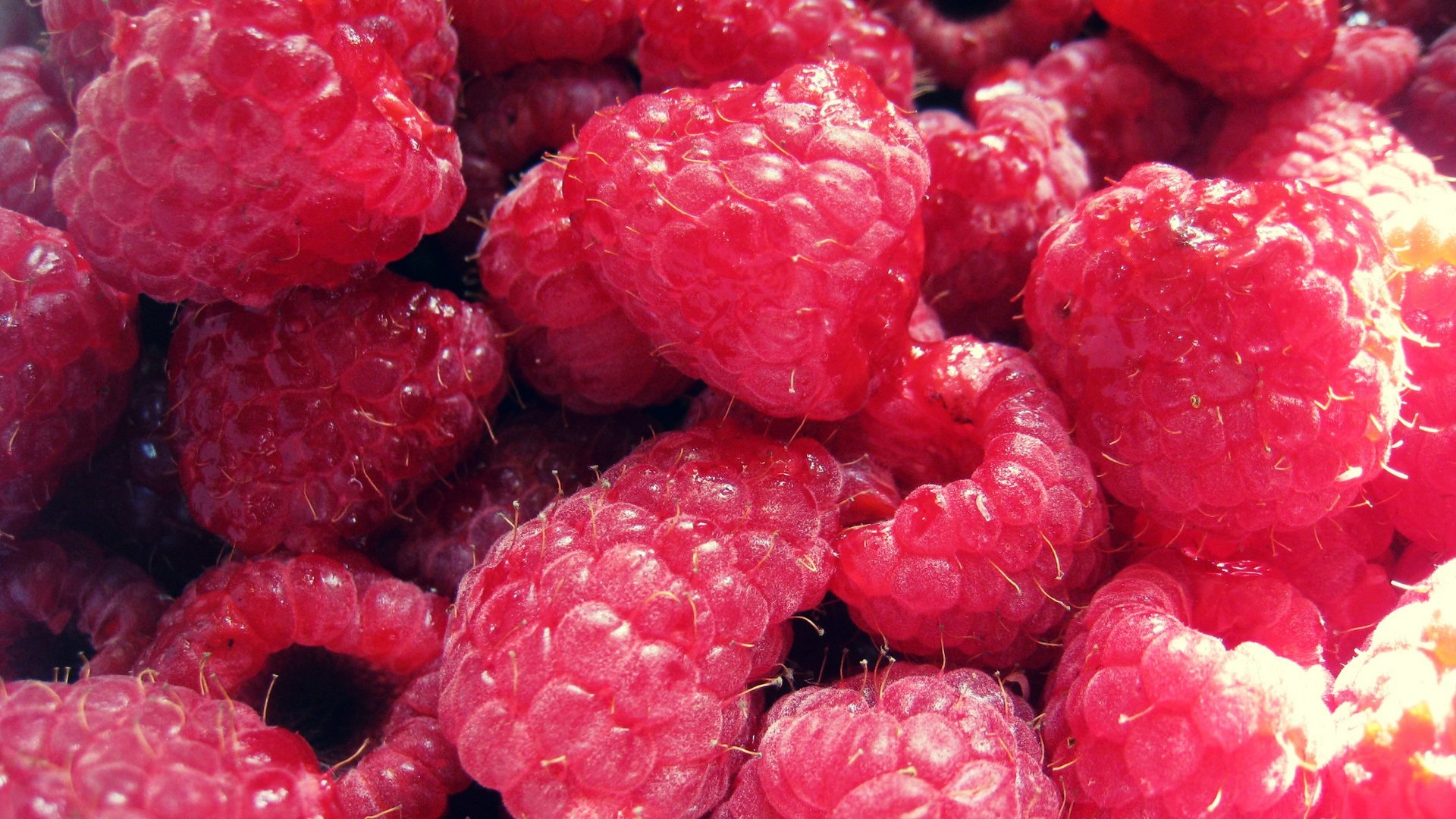Free download Raspberry wallpaper ID:50131 hd 1080p for PC