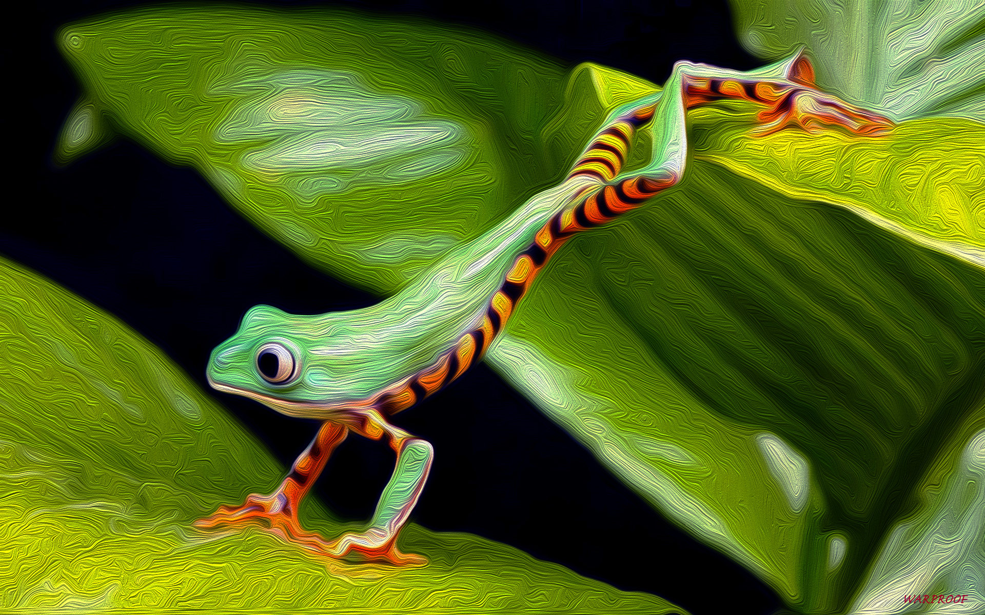 Best Tree Frog background ID:385878 for High Resolution hd 1920x1200 desktop