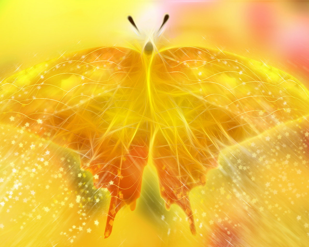 Free Butterfly high quality background ID:168001 for hd 1280x1024 desktop