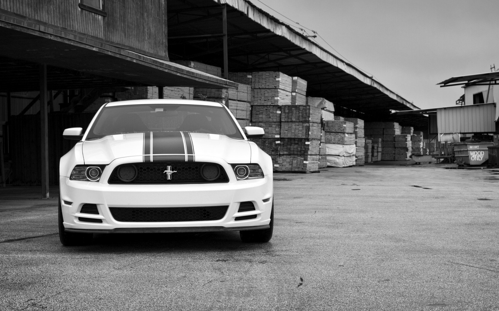 Free Ford Mustang high quality wallpaper ID:204841 for hd 1680x1050 PC