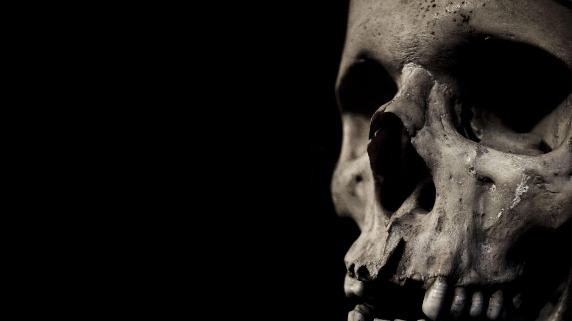 Best Skull background ID:320750 for High Resolution hd 1080p PC