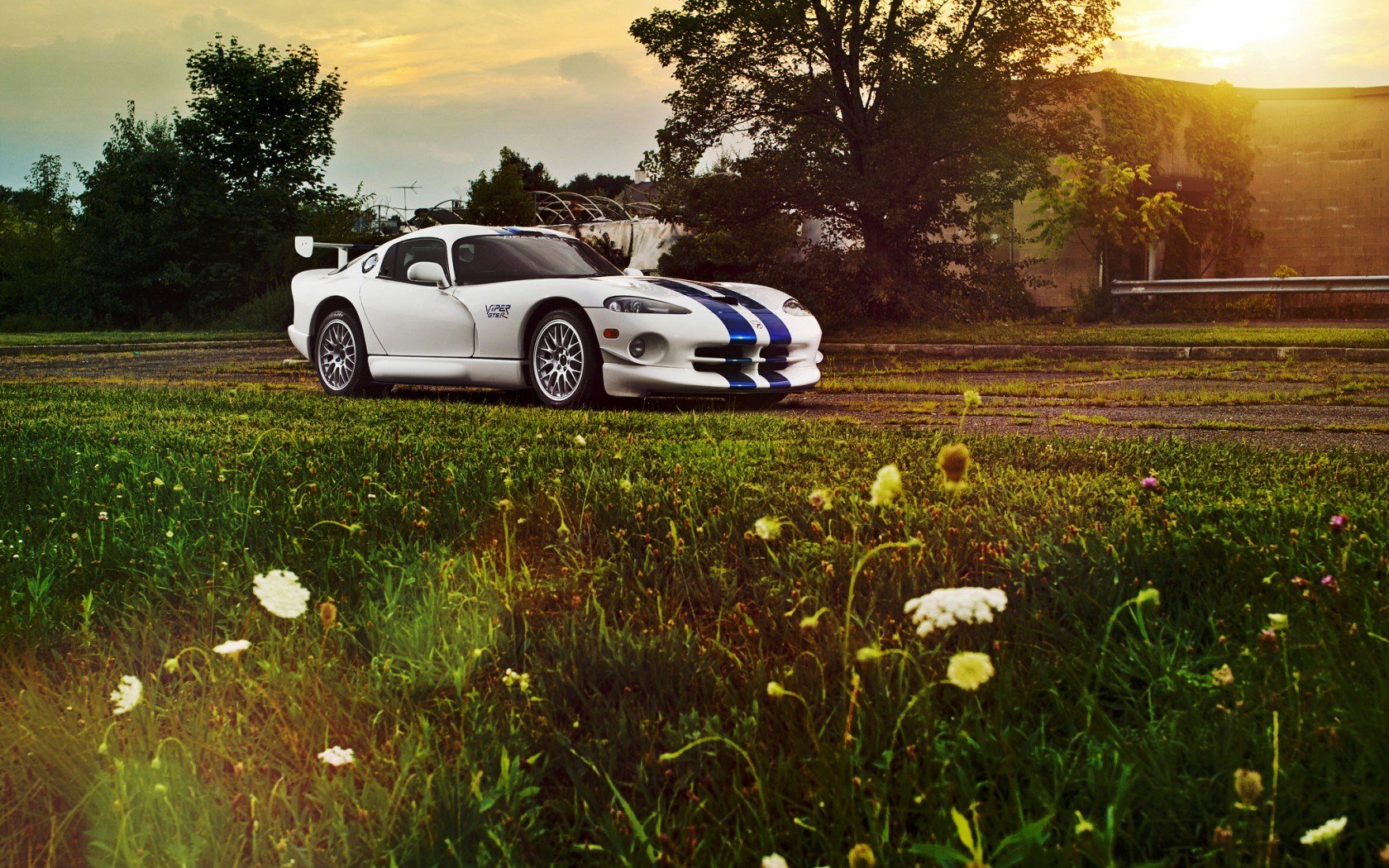 High resolution Dodge Viper hd 1680x1050 background ID:8246 for computer
