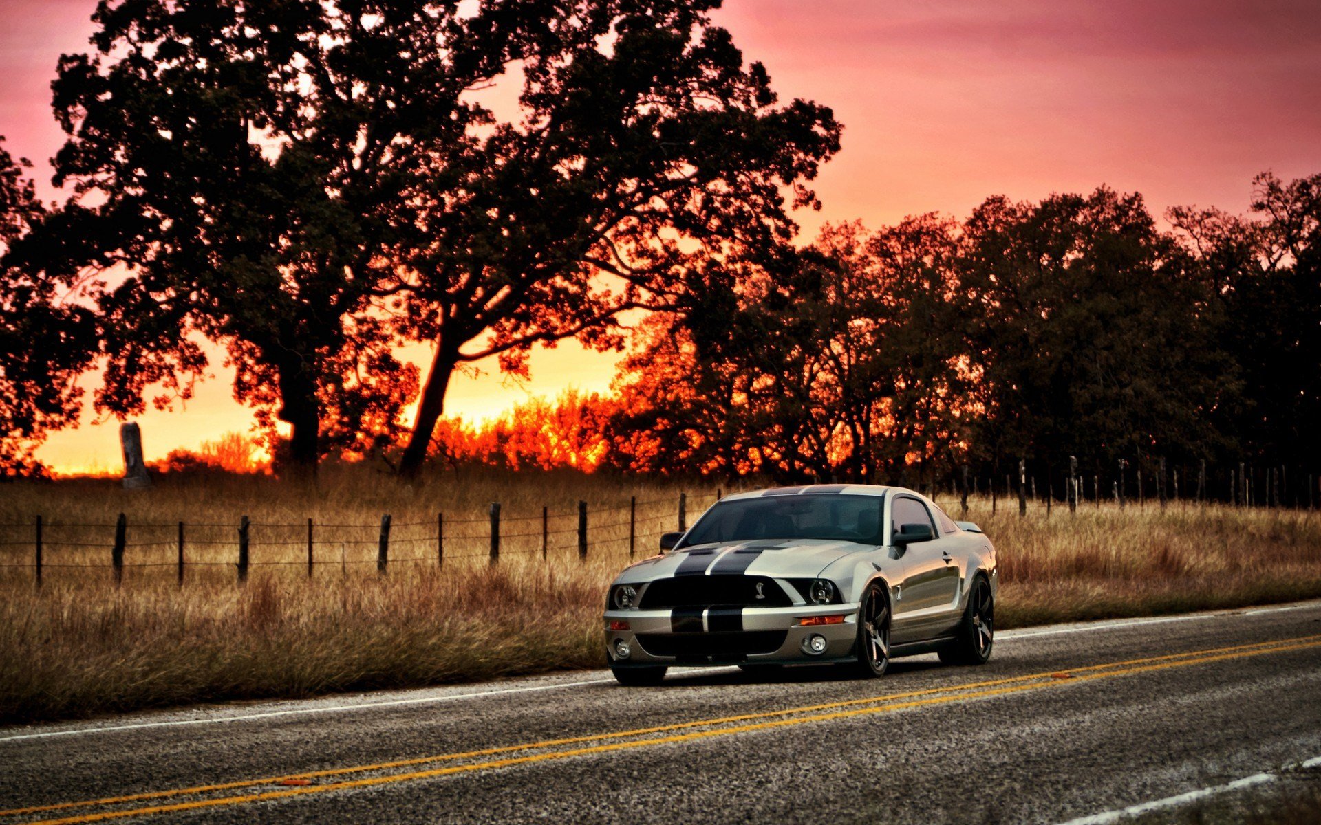 Free Ford Mustang Shelby GT500 Cobra high quality background ID:239877 for hd 1920x1200 computer