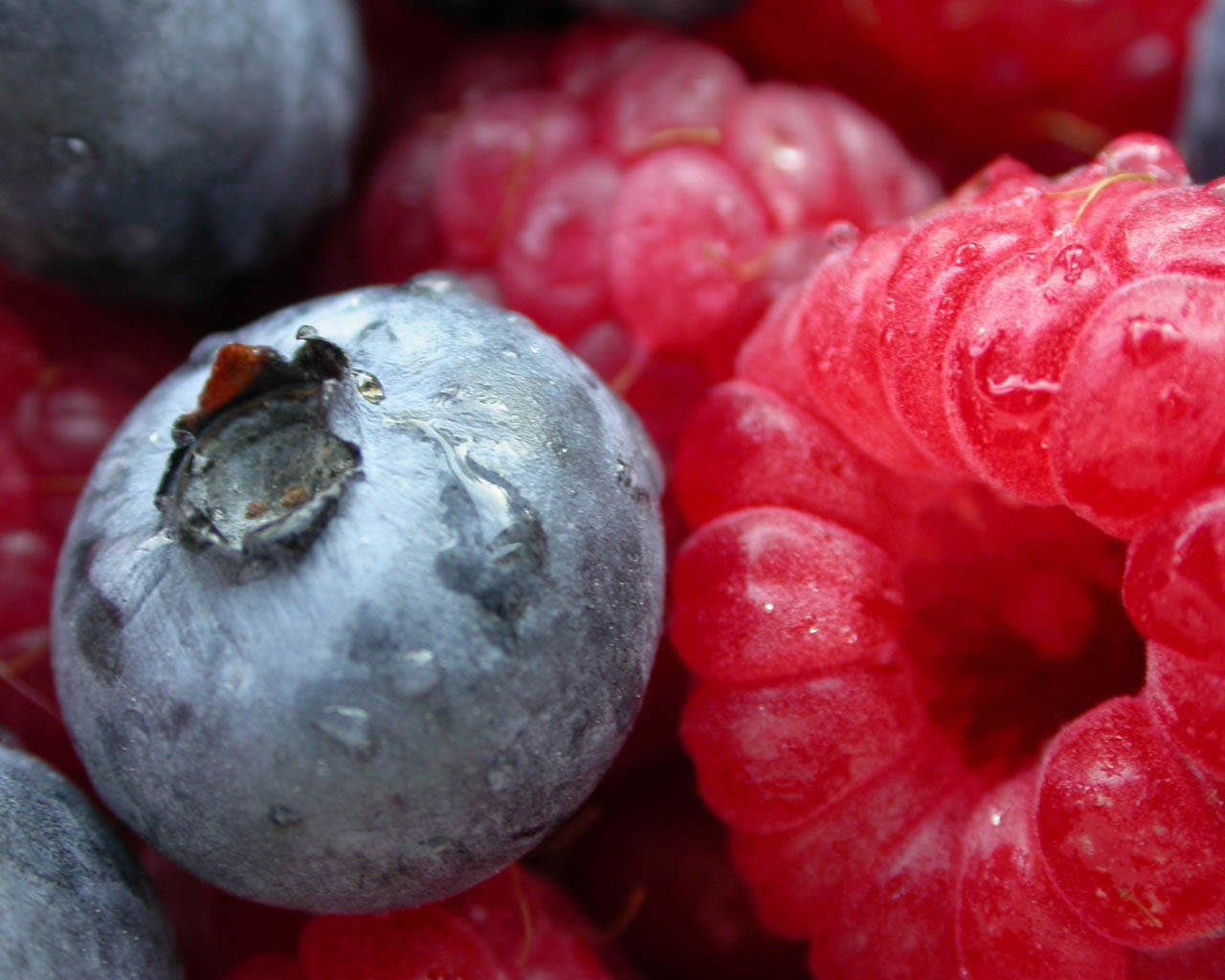 Awesome Berry free wallpaper ID:178266 for hd 1280x1024 PC