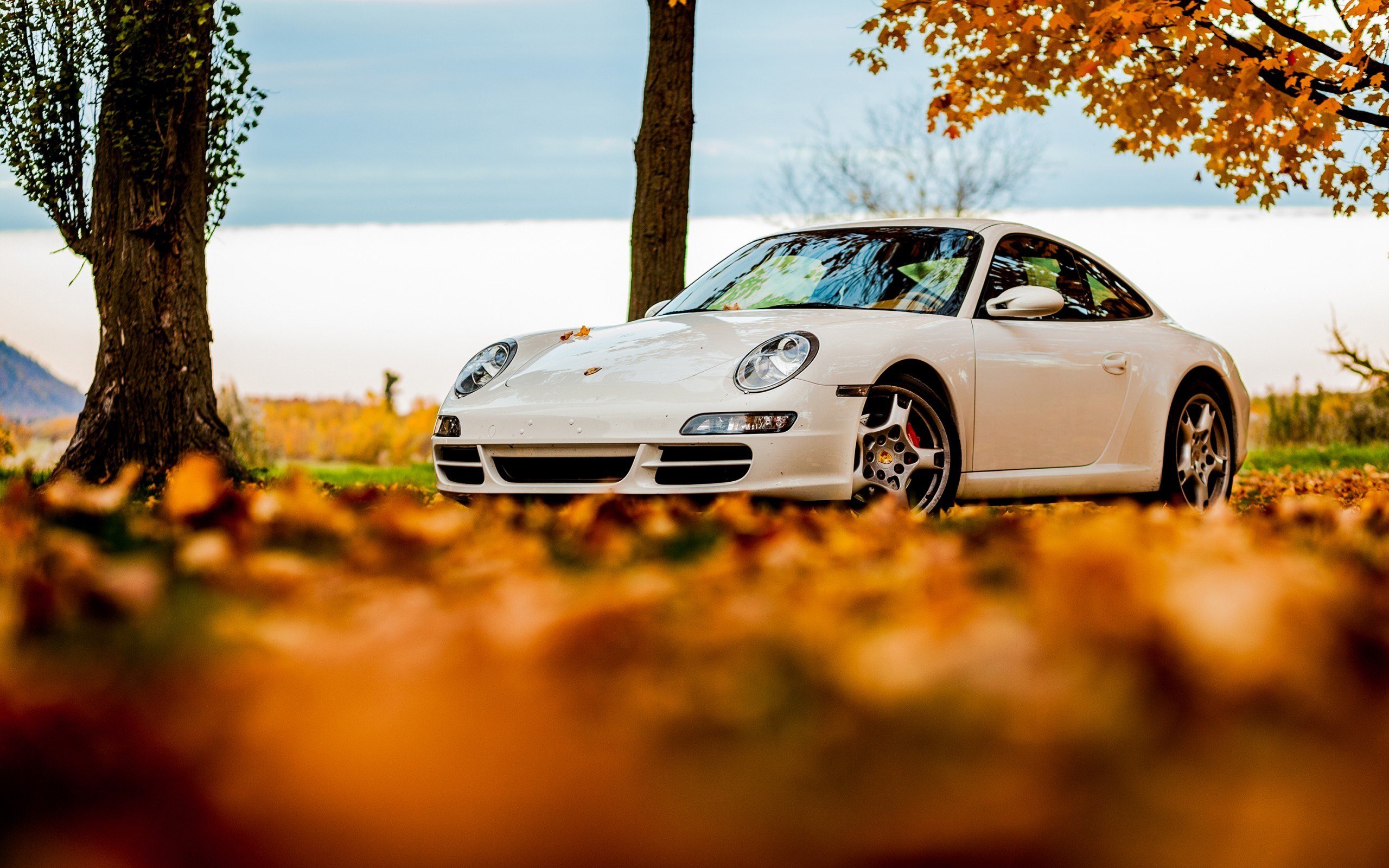 Download hd 2560x1600 Porsche 911 PC wallpaper ID:102056 for free