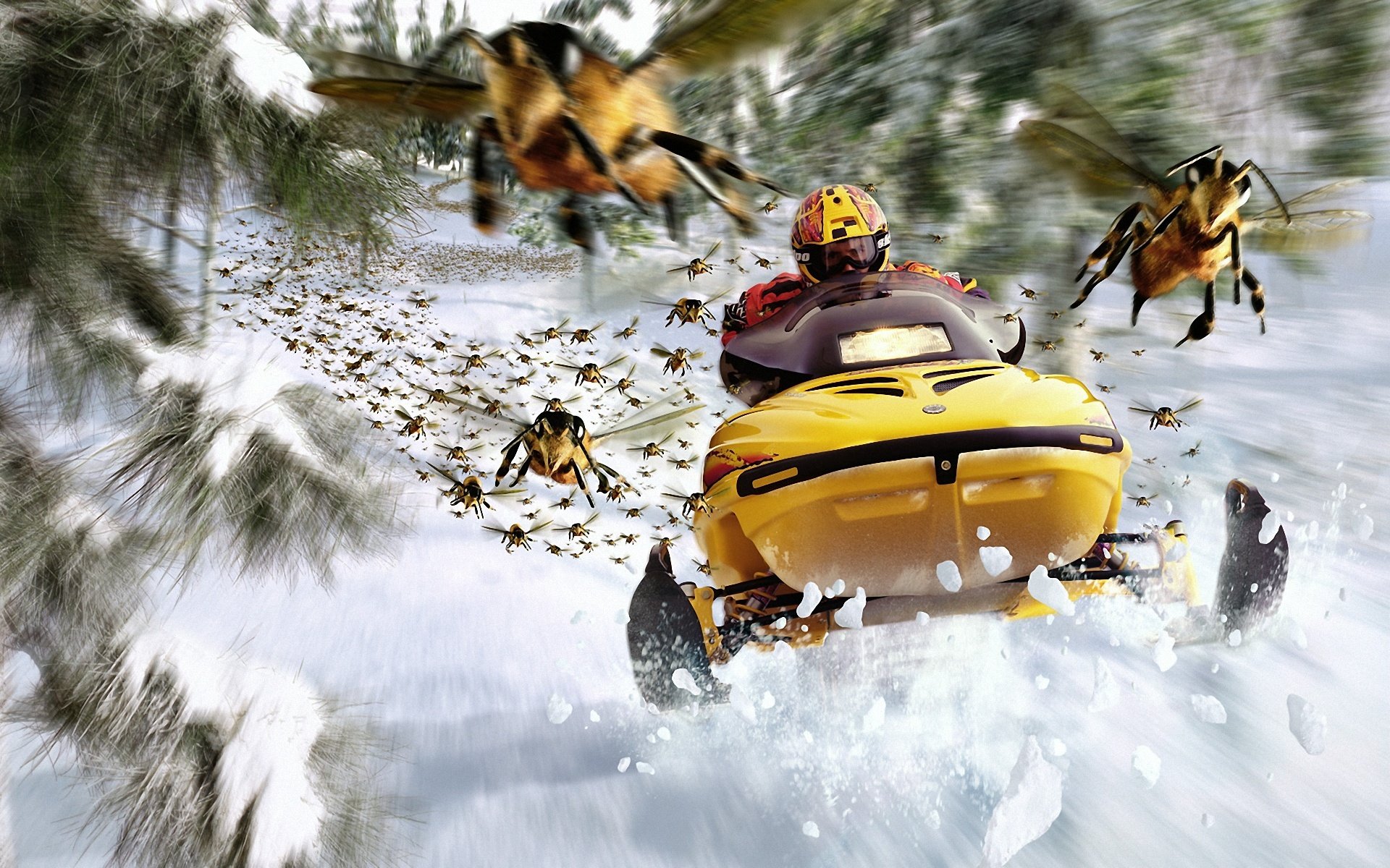 Awesome Snowmobile free wallpaper ID:486532 for hd 1920x1200 desktop