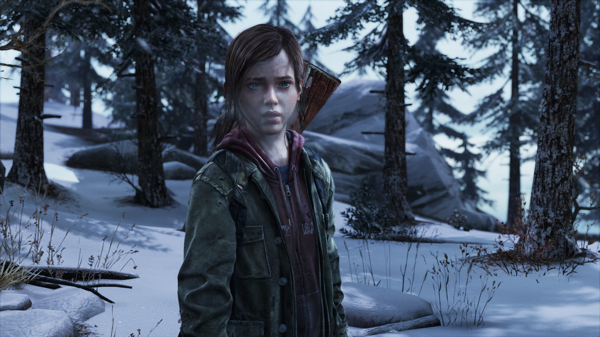 Free The Last Of Us high quality background ID:248044 for full hd 1080p PC