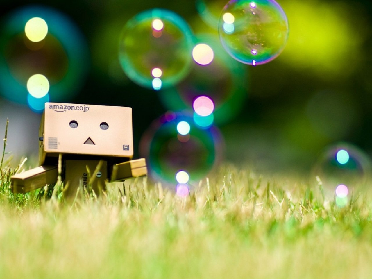 Download hd 1280x960 Danbo PC background ID:30395 for free
