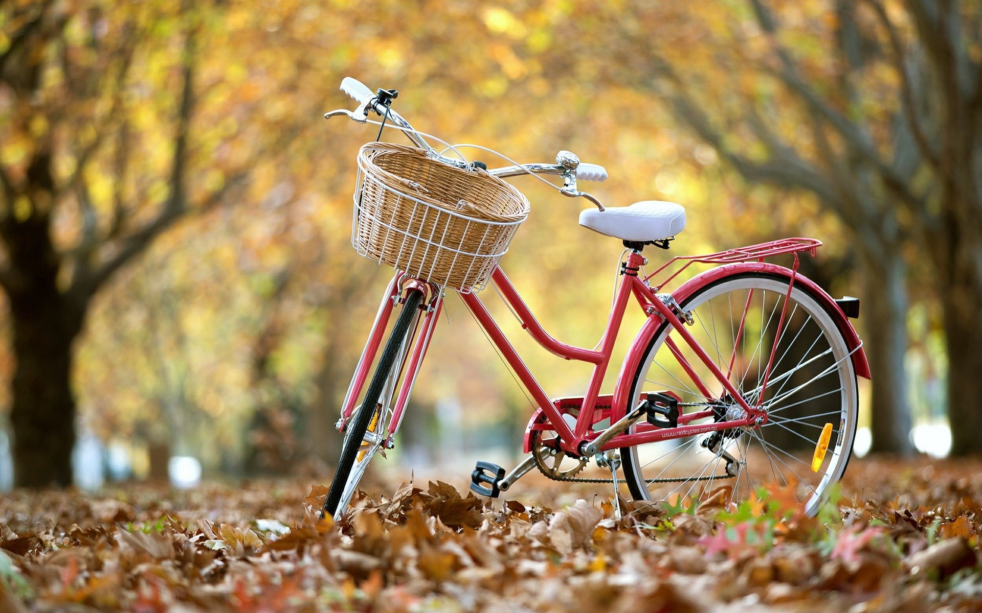 Awesome Bicycle free wallpaper ID:134867 for hd 1920x1200 computer