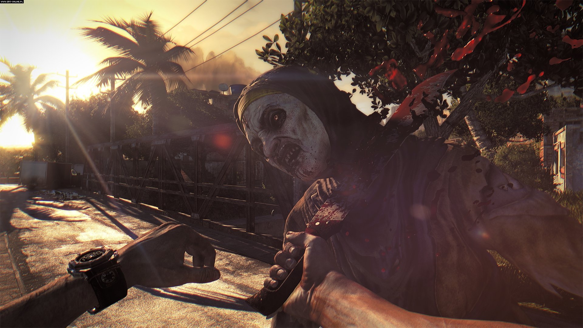 Download full hd 1920x1080 Dying Light PC wallpaper ID:54528 for free