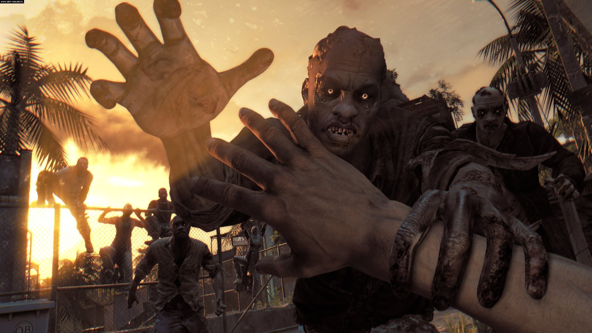 Awesome Dying Light free wallpaper ID:54532 for full hd 1920x1080 computer