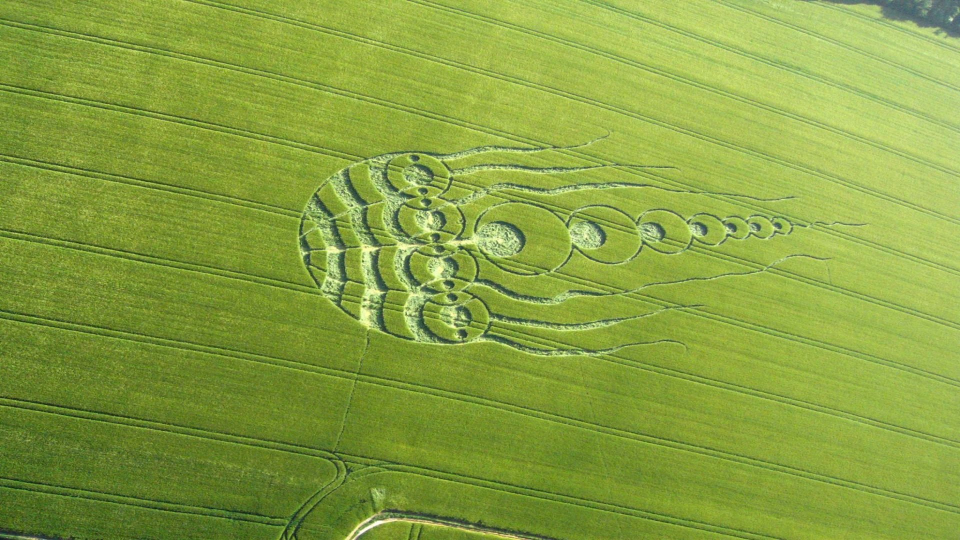 Awesome Crop Circles free wallpaper ID:495025 for hd 1080p desktop