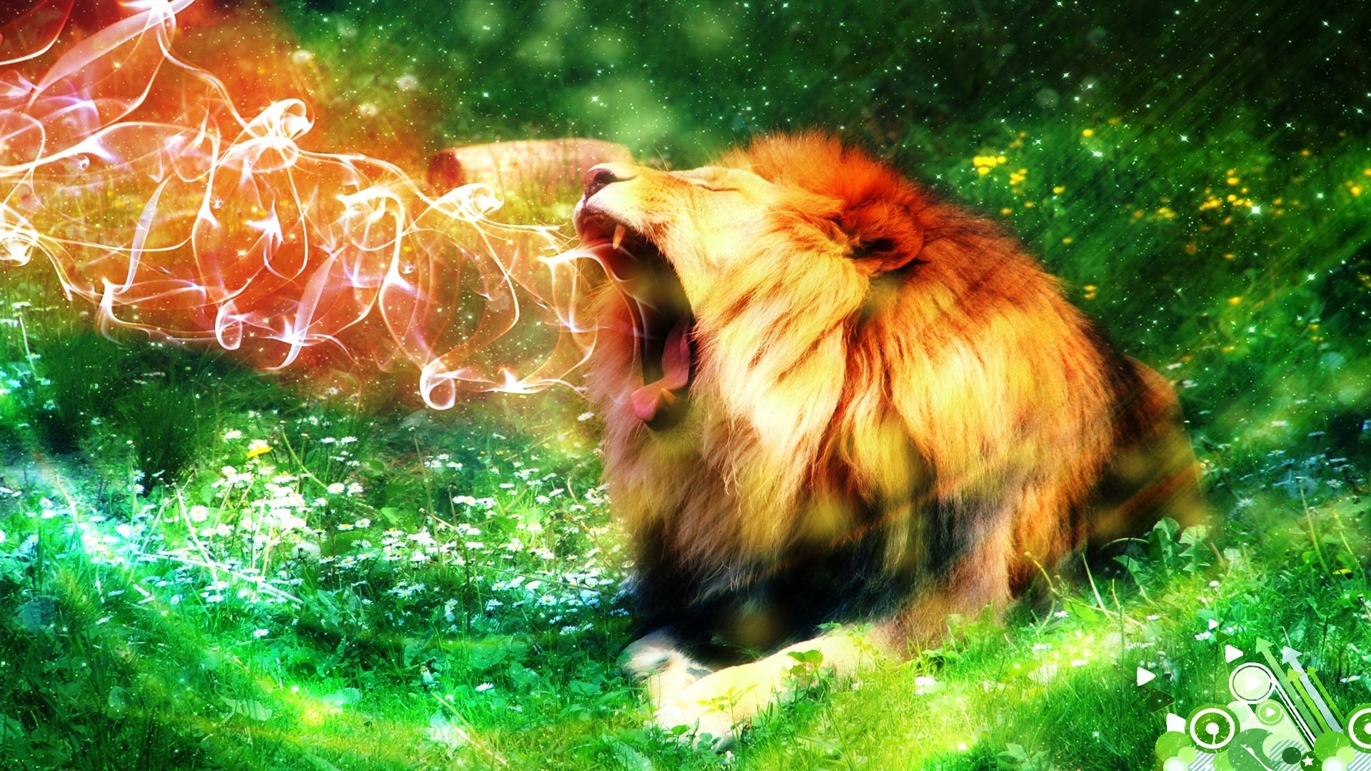 Free download Lion background ID:255212 hd 1080p for desktop