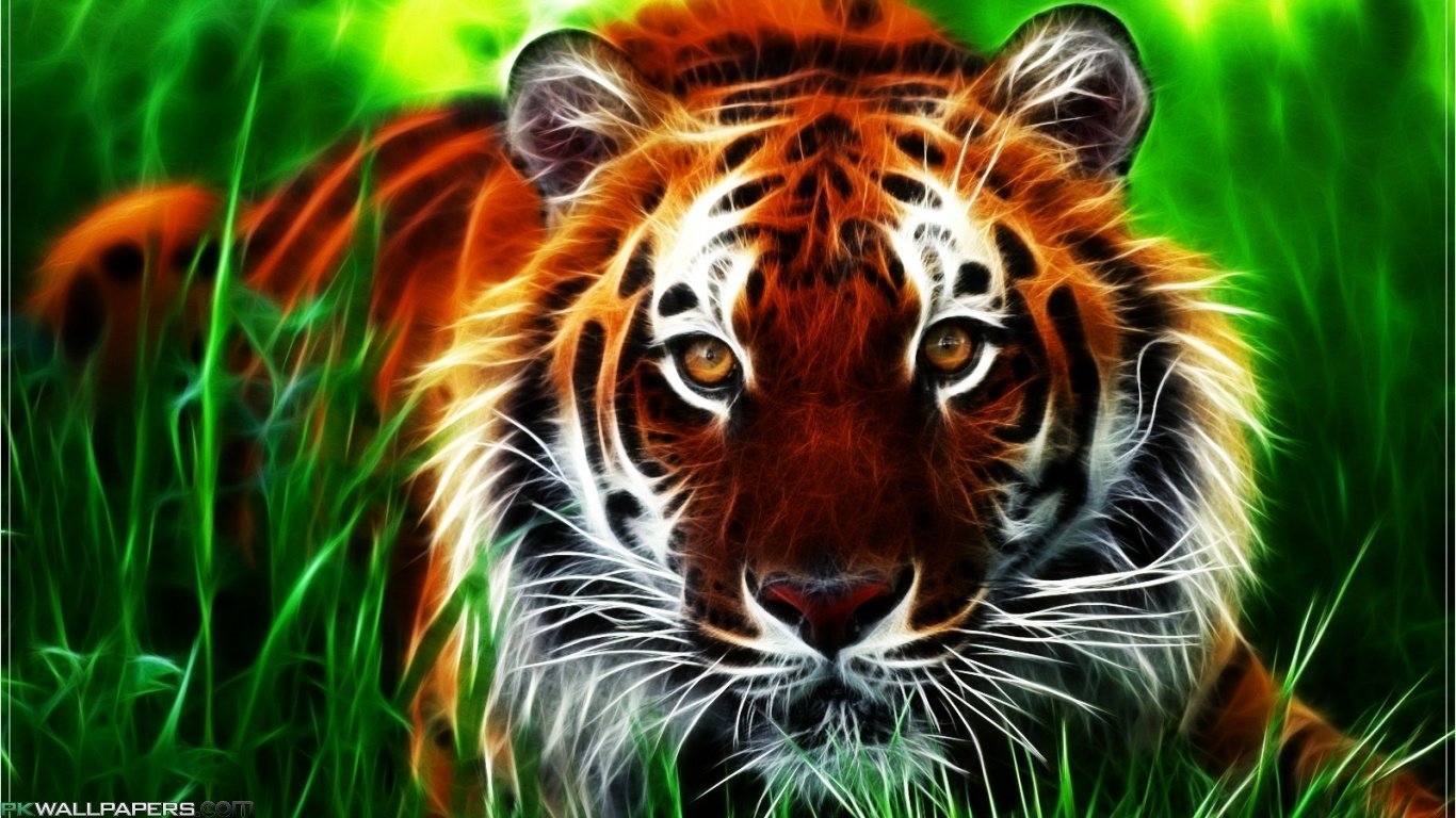 Free Tiger high quality background ID:115663 for laptop PC