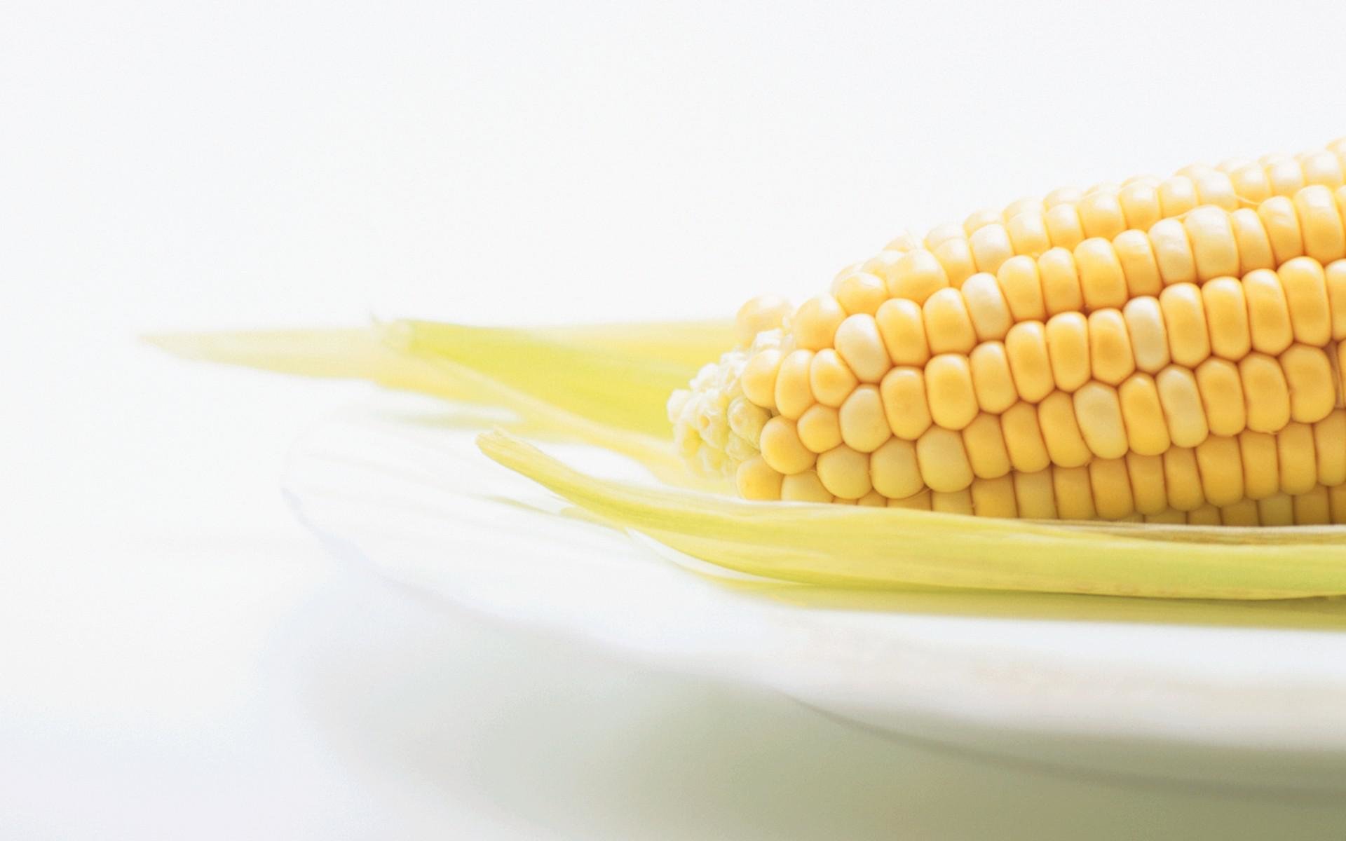 Free Corn high quality background ID:100661 for hd 1920x1200 computer
