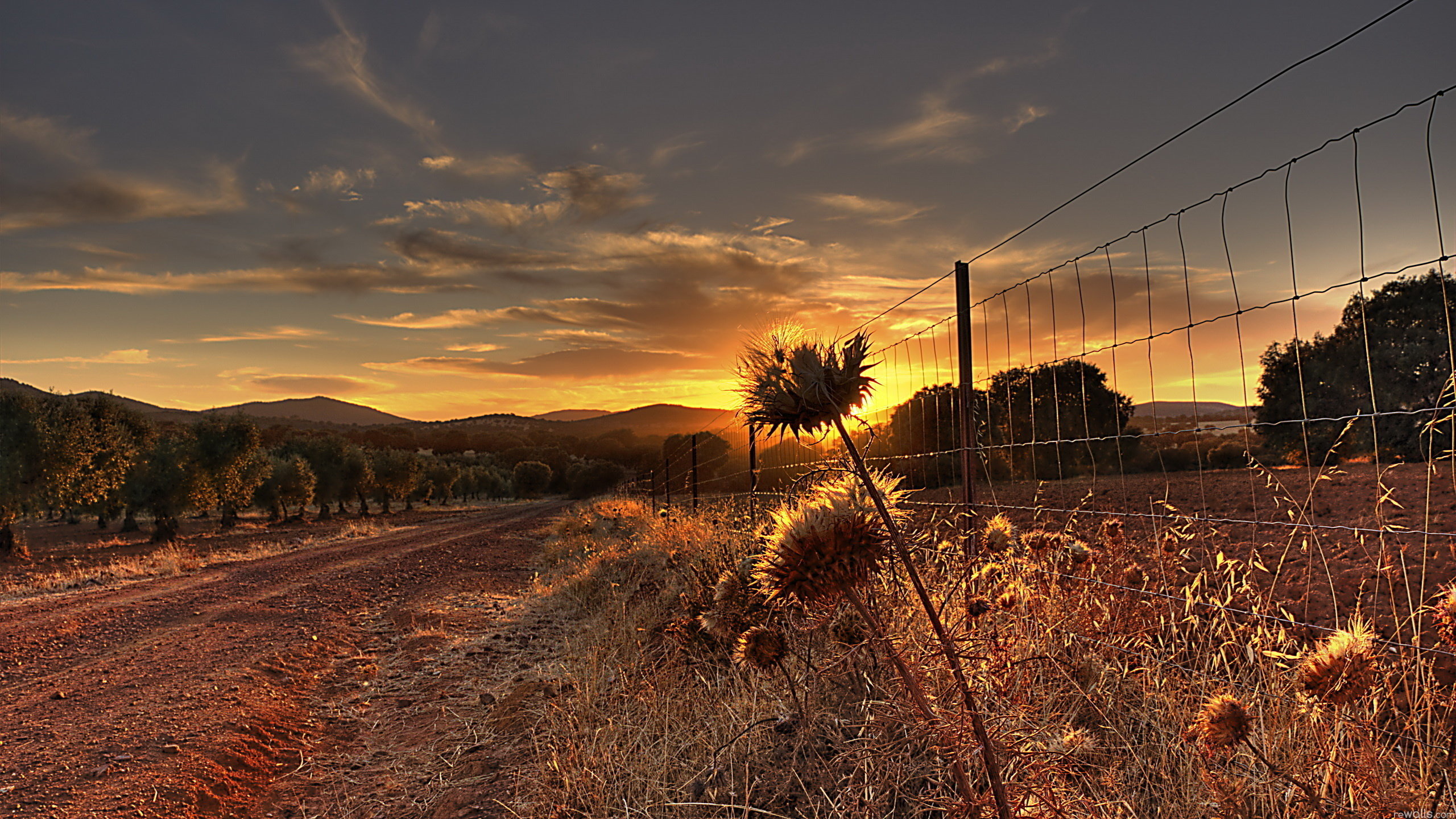 Best Fence wallpaper ID:22911 for High Resolution hd 2560x1440 PC