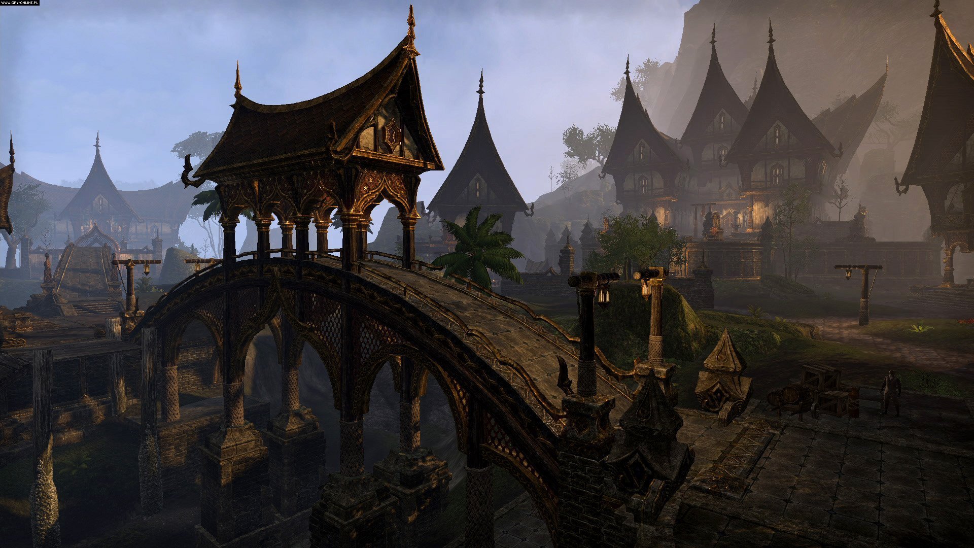 Awesome The Elder Scrolls Online free background ID:445943 for full hd 1080p computer