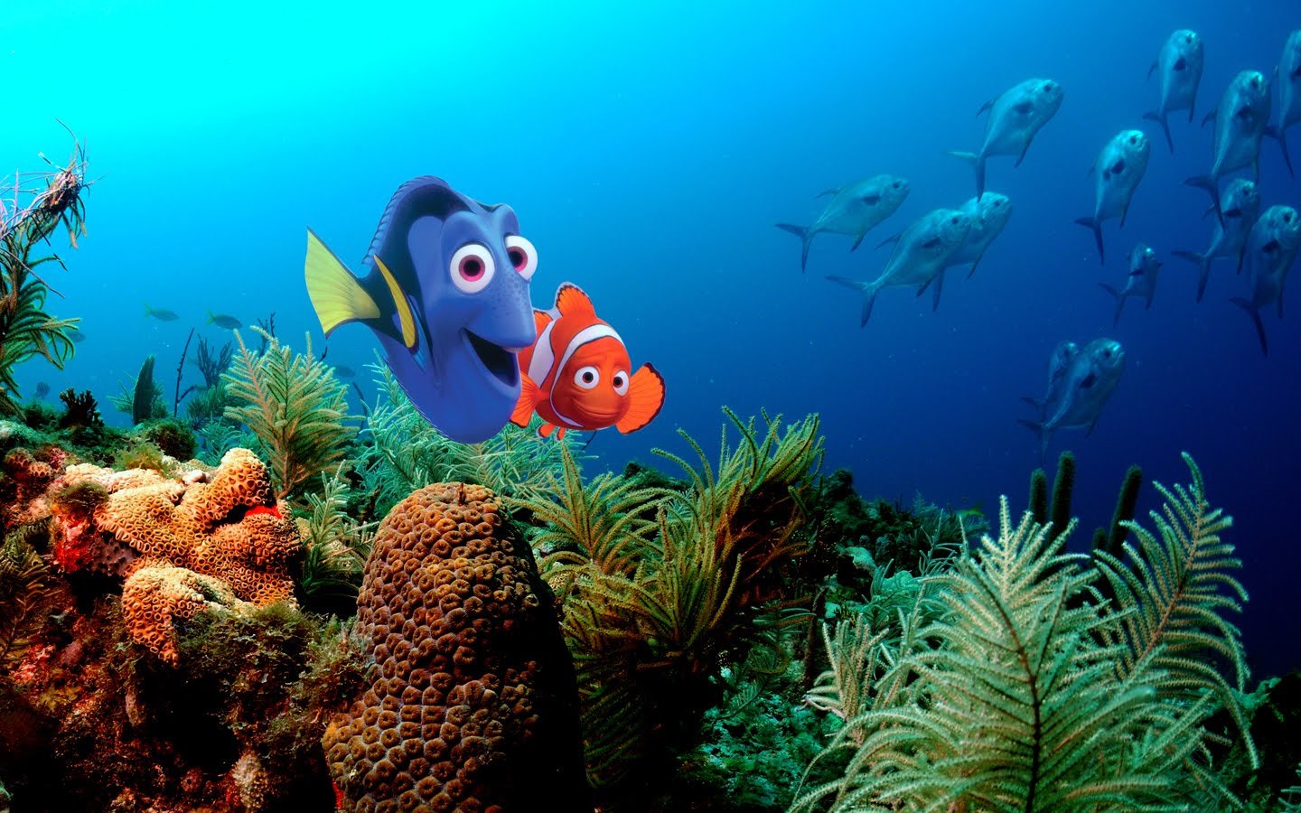 Free Finding Nemo high quality wallpaper ID:53340 for hd 1440x900 computer
