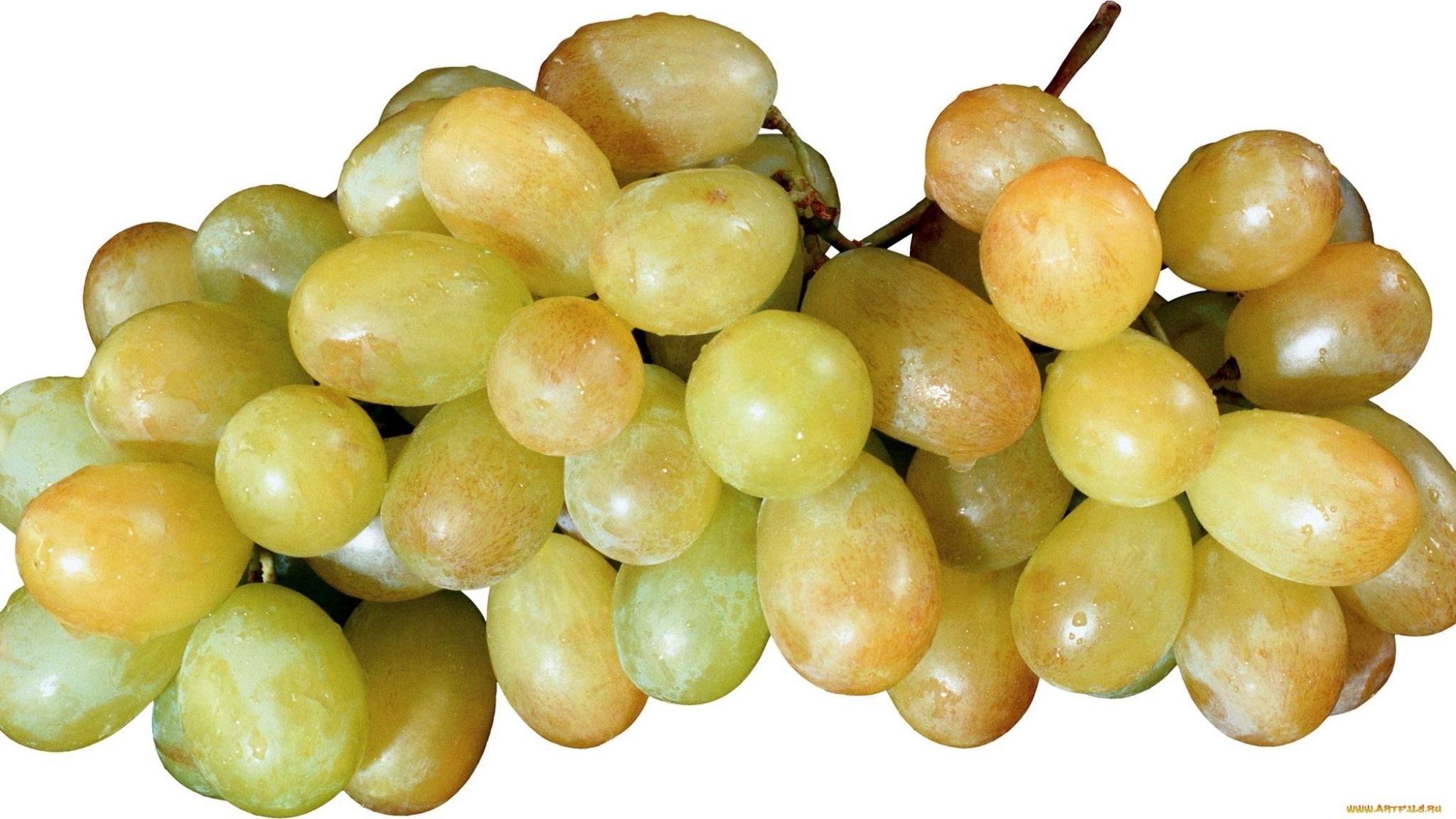 High resolution Grapes hd 2048x1152 wallpaper ID:420739 for PC