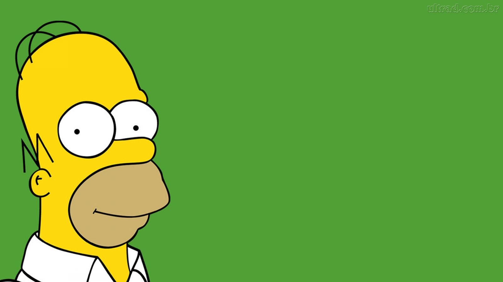 Free download Homer Simpson wallpaper ID:351470 hd 1600x900 for PC