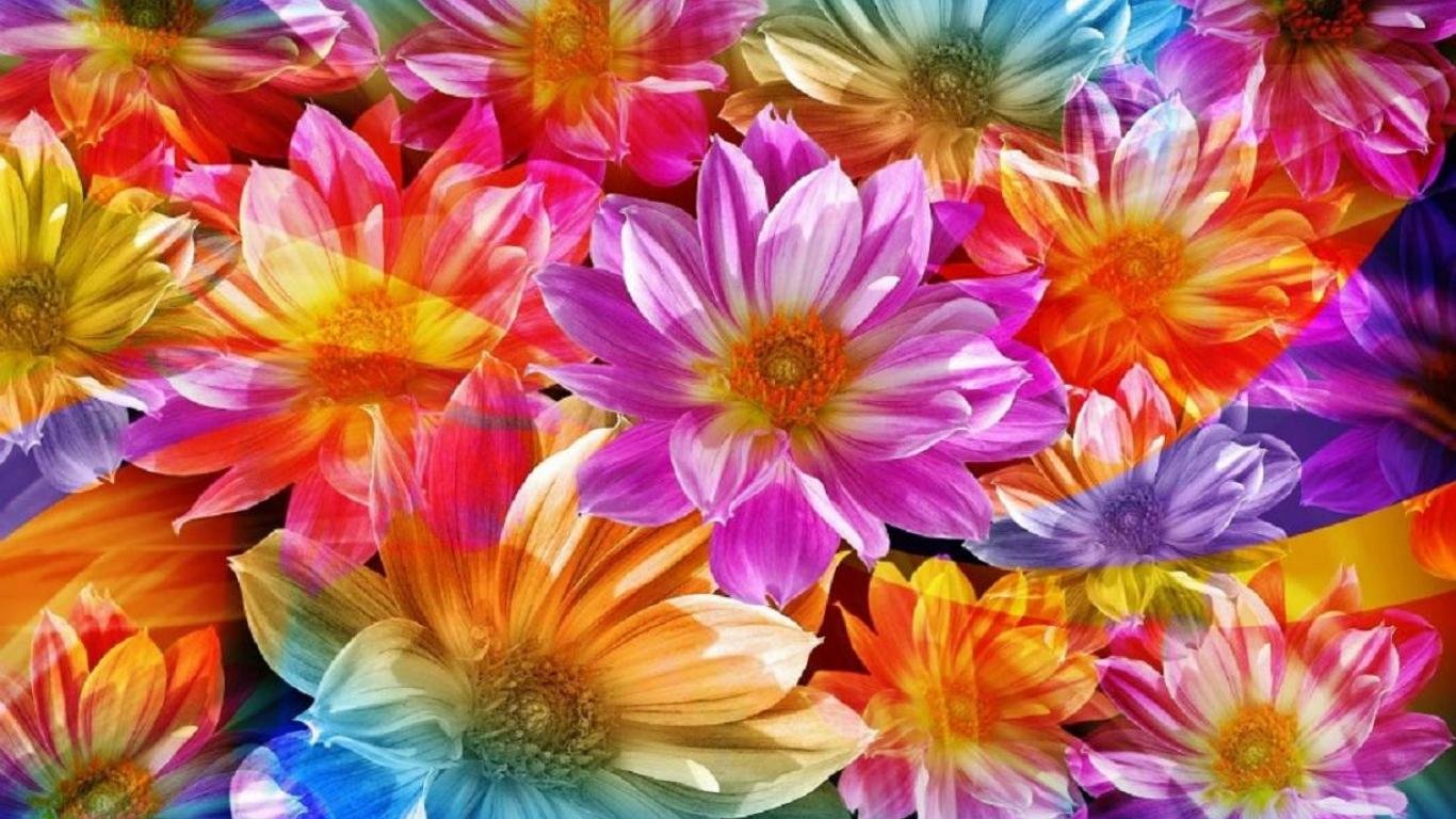 Free Cool flower high quality background ID:75671 for hd 1366x768 desktop