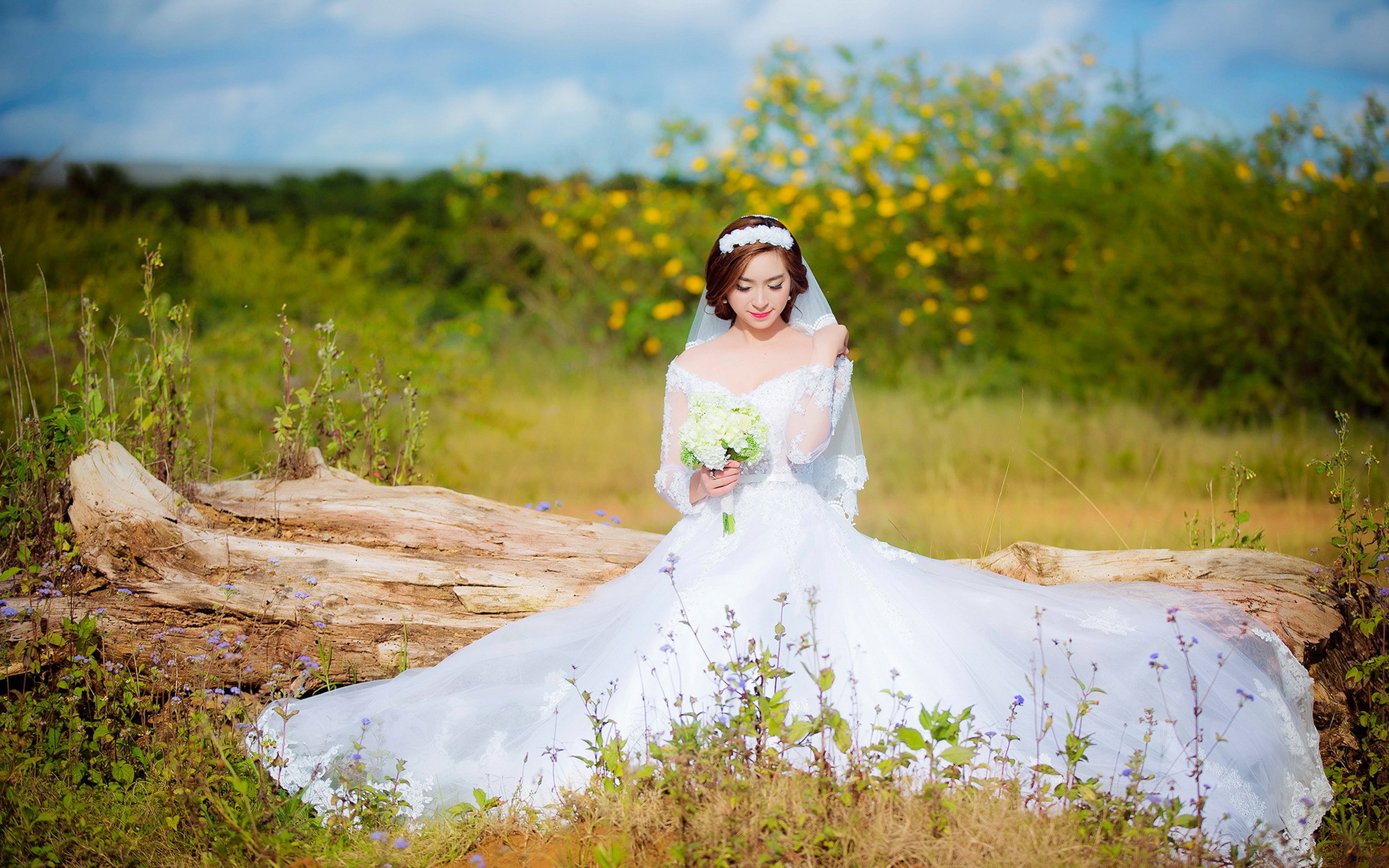 High resolution Bride in wedding dress hd 3840x2400 background ID:465866 for desktop