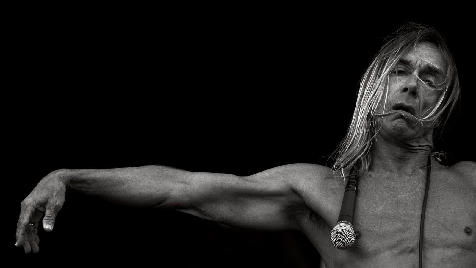 Awesome Iggy Pop free background ID:260375 for hd 1600x900 computer