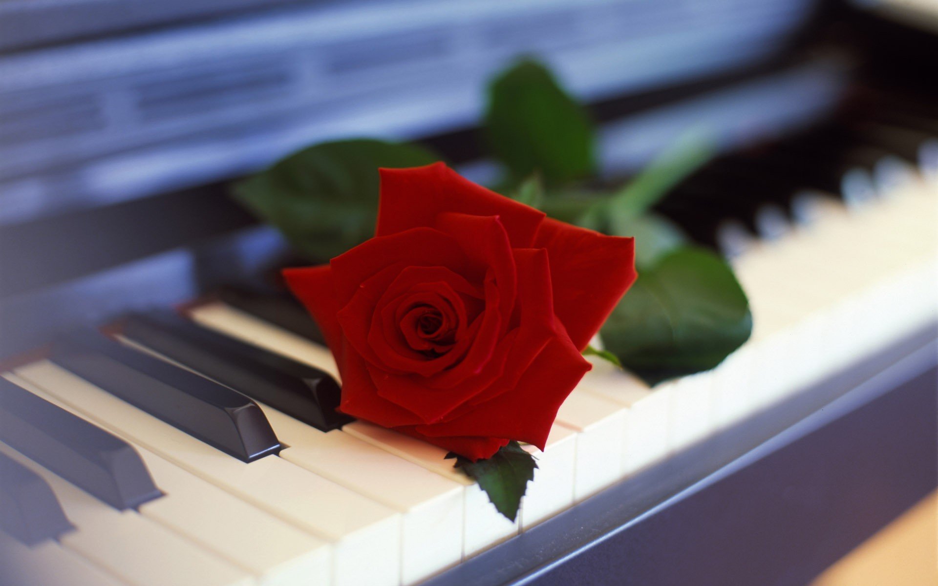 Best Piano wallpaper ID:391483 for High Resolution hd 1920x1200 computer