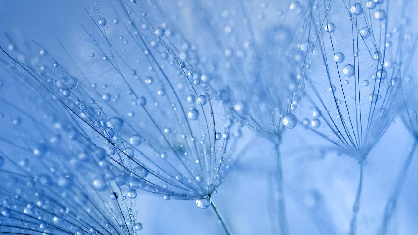 Awesome Water Drop free background ID:430475 for 1366x768 laptop PC