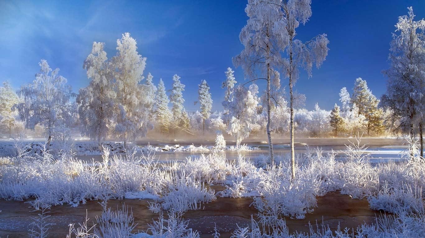 Free Winter high quality wallpaper ID:251175 for laptop PC