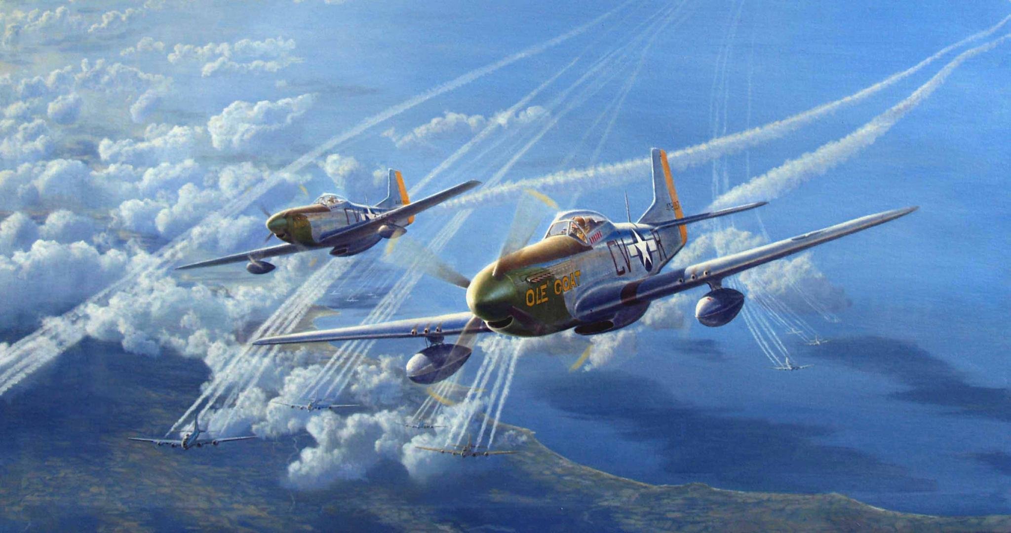 Free North American P-51 Mustang high quality wallpaper ID:53121 for hd 2048x1080 desktop