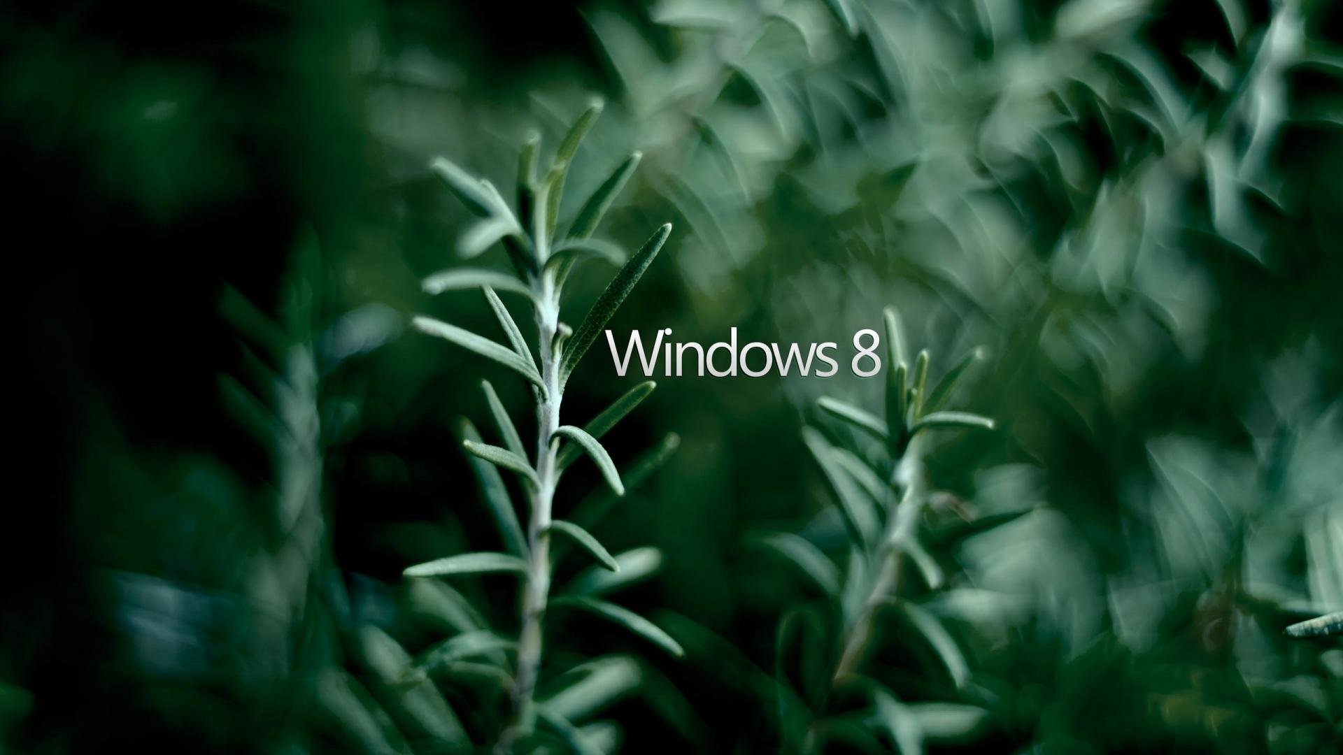 Best Windows 8 background ID:78139 for High Resolution full hd desktop