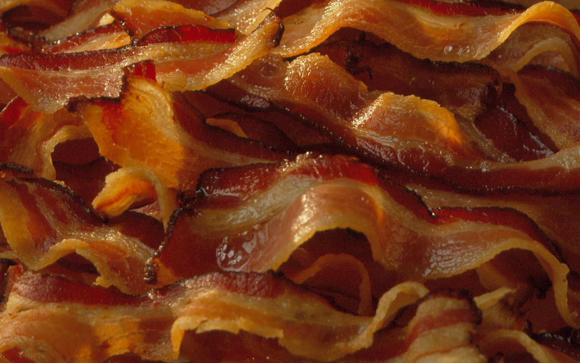 Awesome Bacon free background ID:81330 for hd 1920x1200 computer