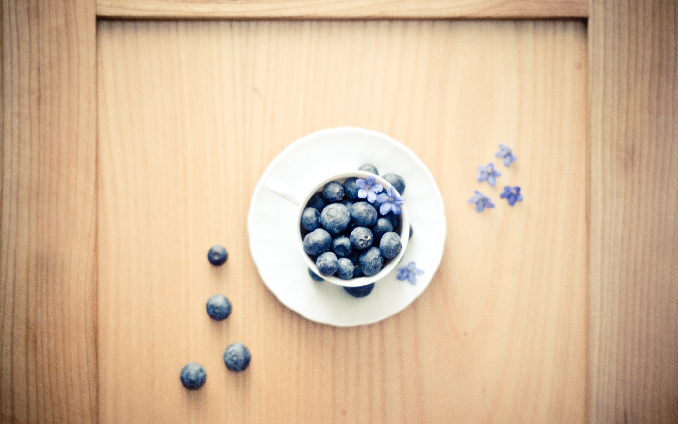 Free download Blueberry background ID:68987 hd 2880x1800 for PC
