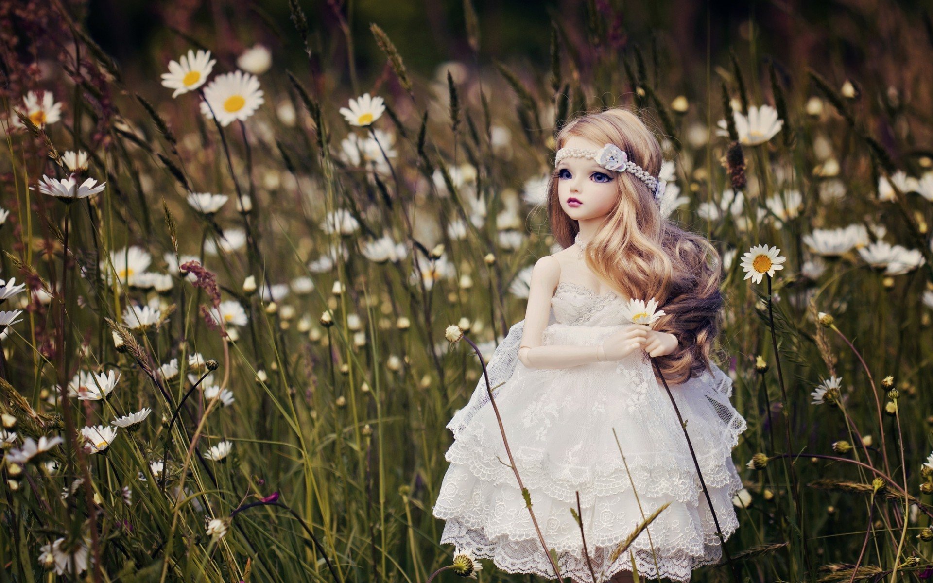 Free Doll high quality background ID:114446 for hd 1920x1200 PC